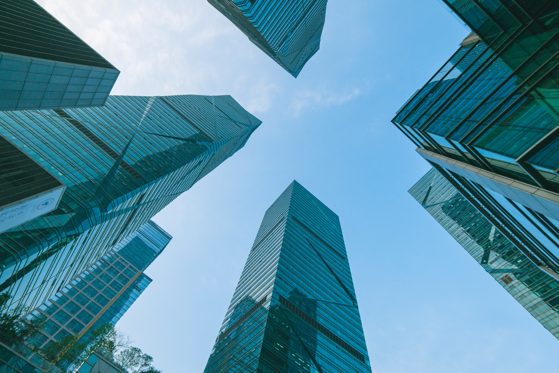 Should I Invest in Large Cap or Small Cap Companies?