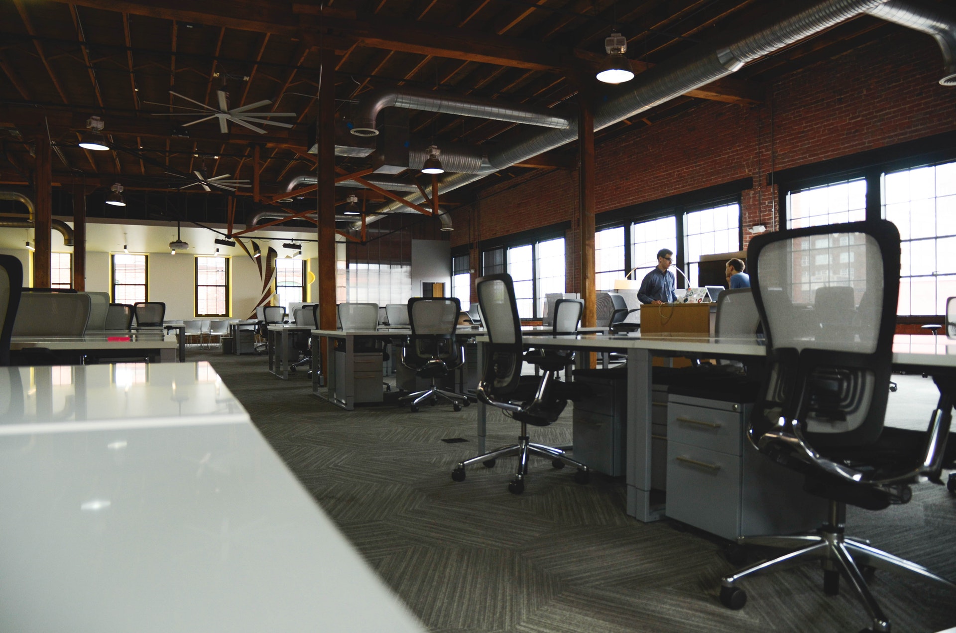 Should I Invest In a Startup?